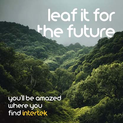 A lush tropical forest on mountain hills